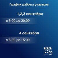 Выборы