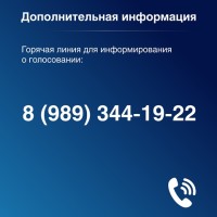 Выборы