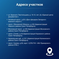 Выборы