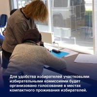Выборы