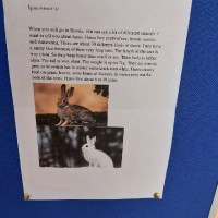 Неделя английского языка