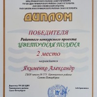 Окна Петербурга